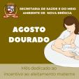 AGOSTO DOURADO