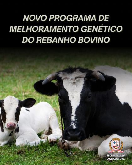 NOVO PROGRAMA DE MELHORAMENTO GENÉTICO DO REBANHO BOVINO